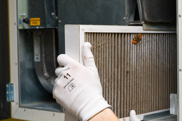 Best Home Air Vent Cleaning  in Nibley, UT